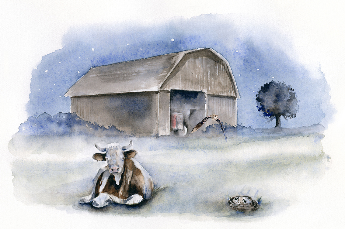 2ème COPIL du GT national Chiroptères et agricultures