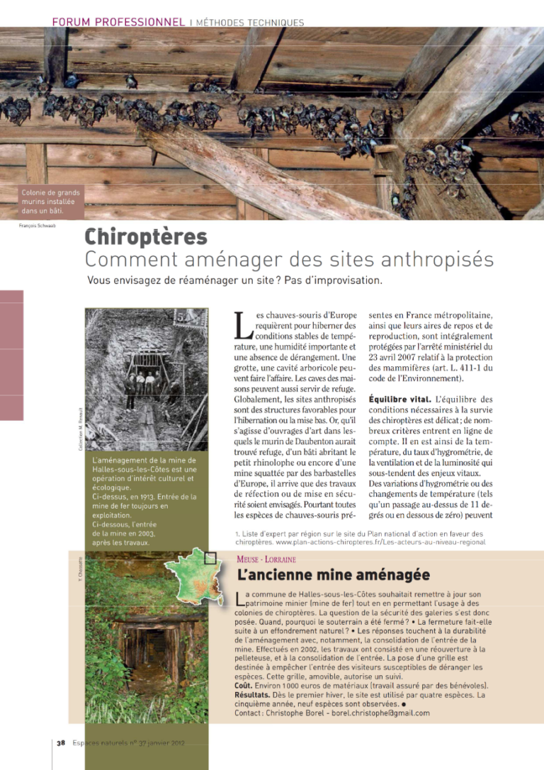5-b-timents-plan-national-d-actions-en-faveur-des-chiropt-res
