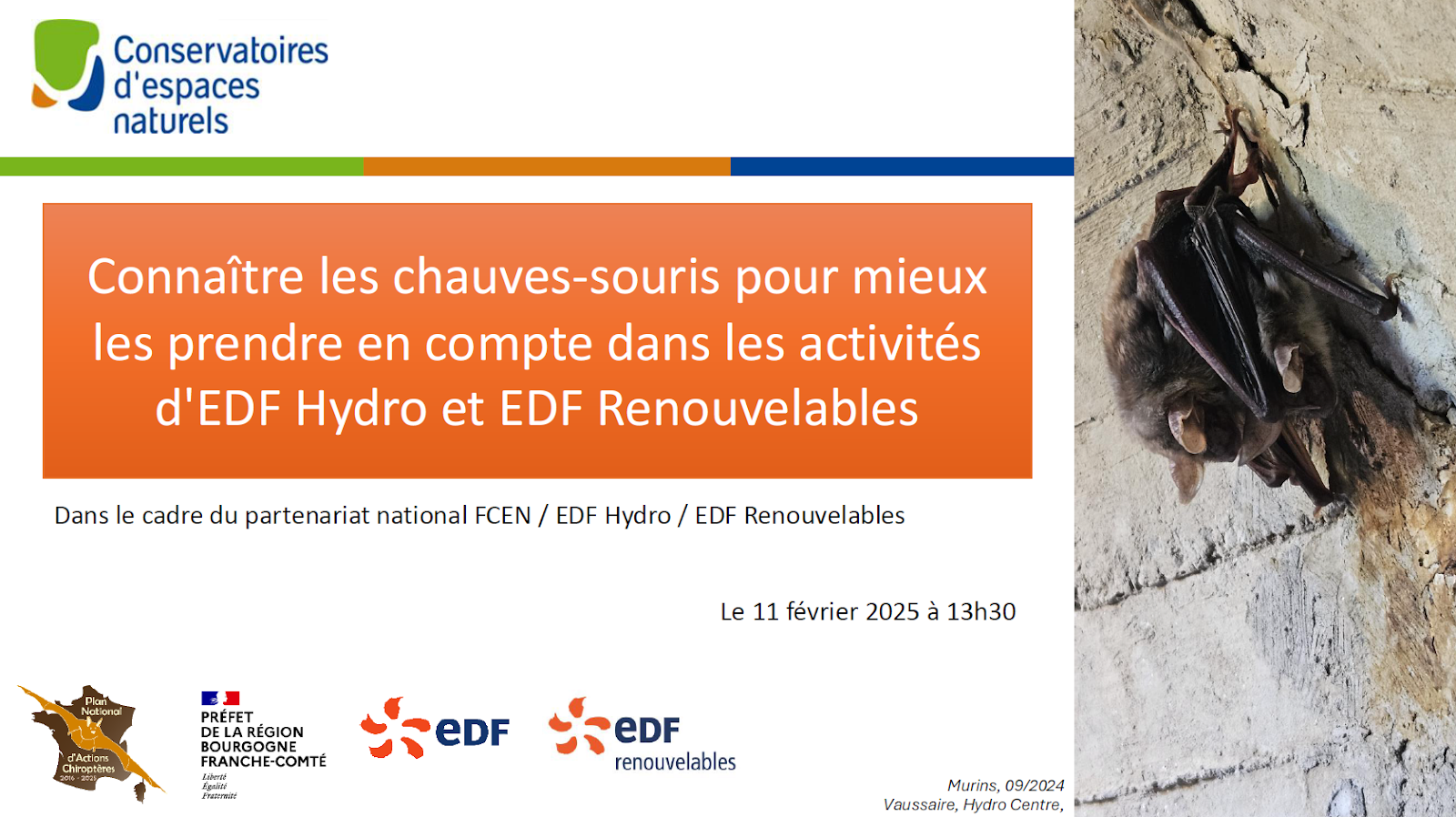 Webinaire “Connaître les chauves-souris pour mieux les prendre en compte dans les activités d’EDF Hydro et EDF Renouvelables“