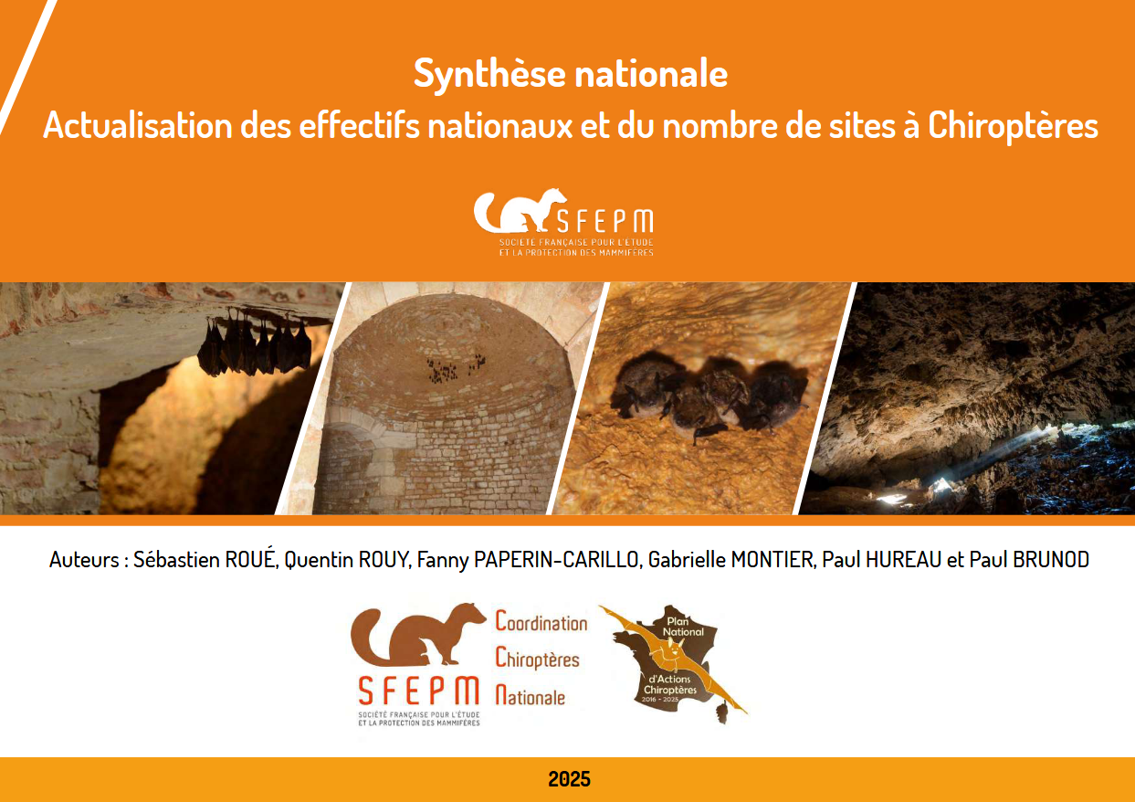 La synthèse nationale d’actualisation des effectifs nationaux et du nombre de sites à Chiroptères