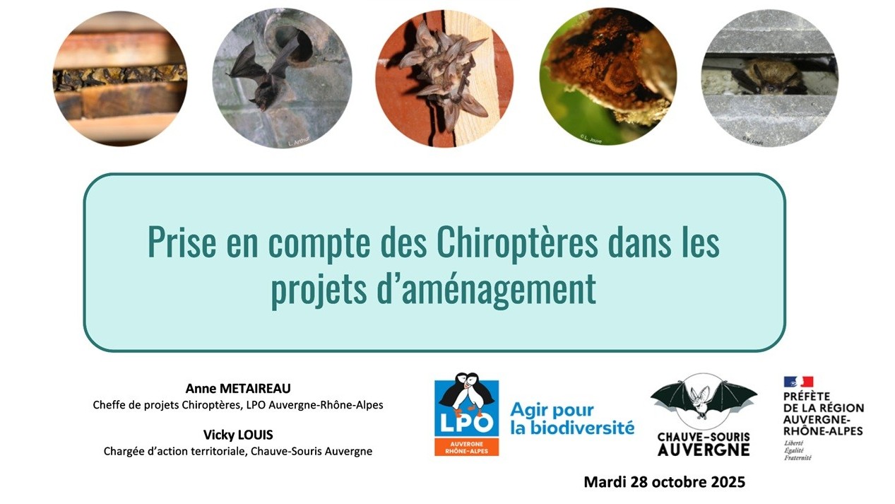 Organisation d’un temps d’information à destination des services de l’Etat en Auvergne-Rhône-Alpes pour unemeilleure intégration de l’enjeu Chiroptères dans les projets d’aménagement