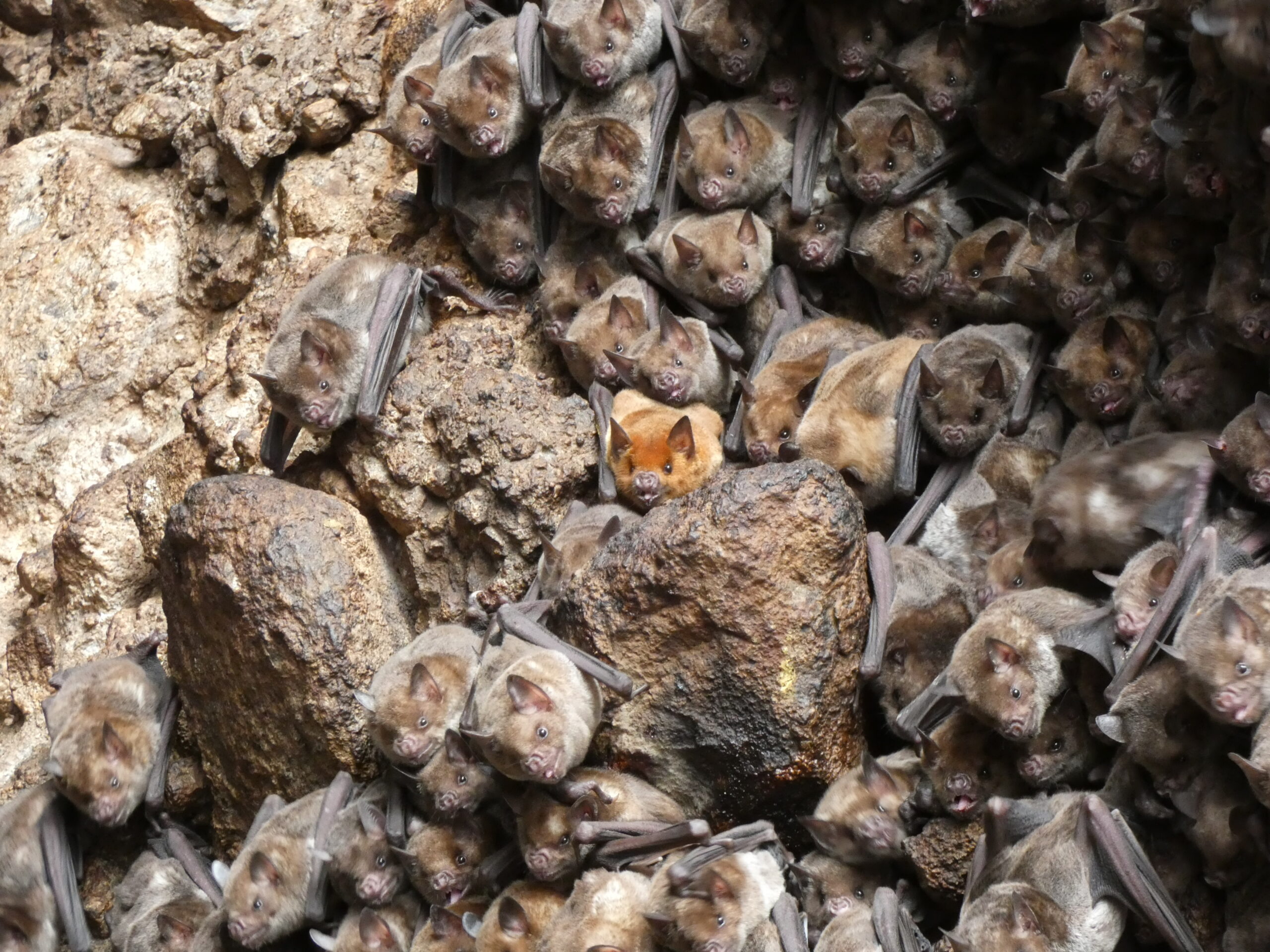 État d’avancement du programme CHIMAGUA