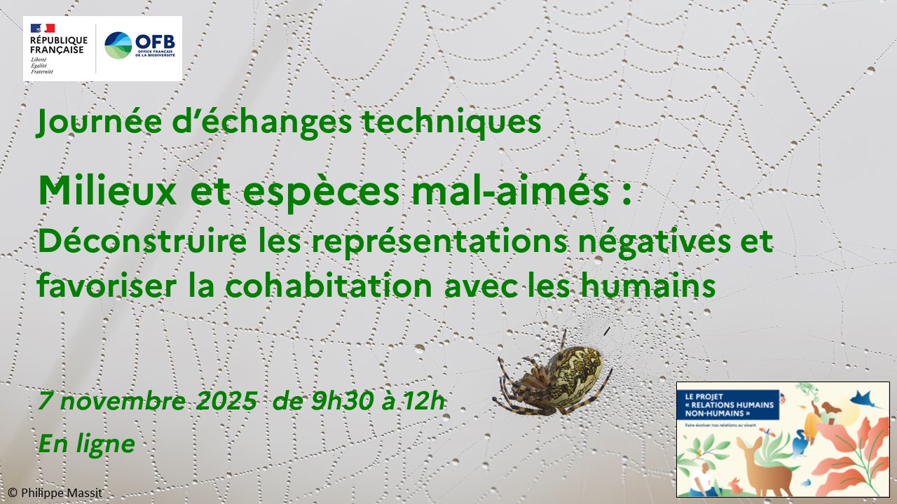 Journée d’échanges techniques de l’OFB sur les milieux et espèces mal-aimés