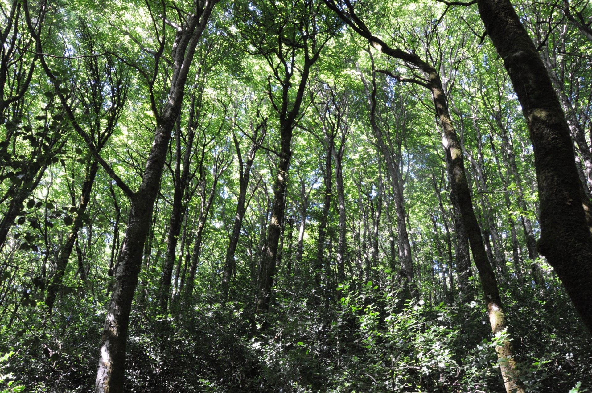 Rencontre de propriétaires forestiers en Midi-Pyrénées