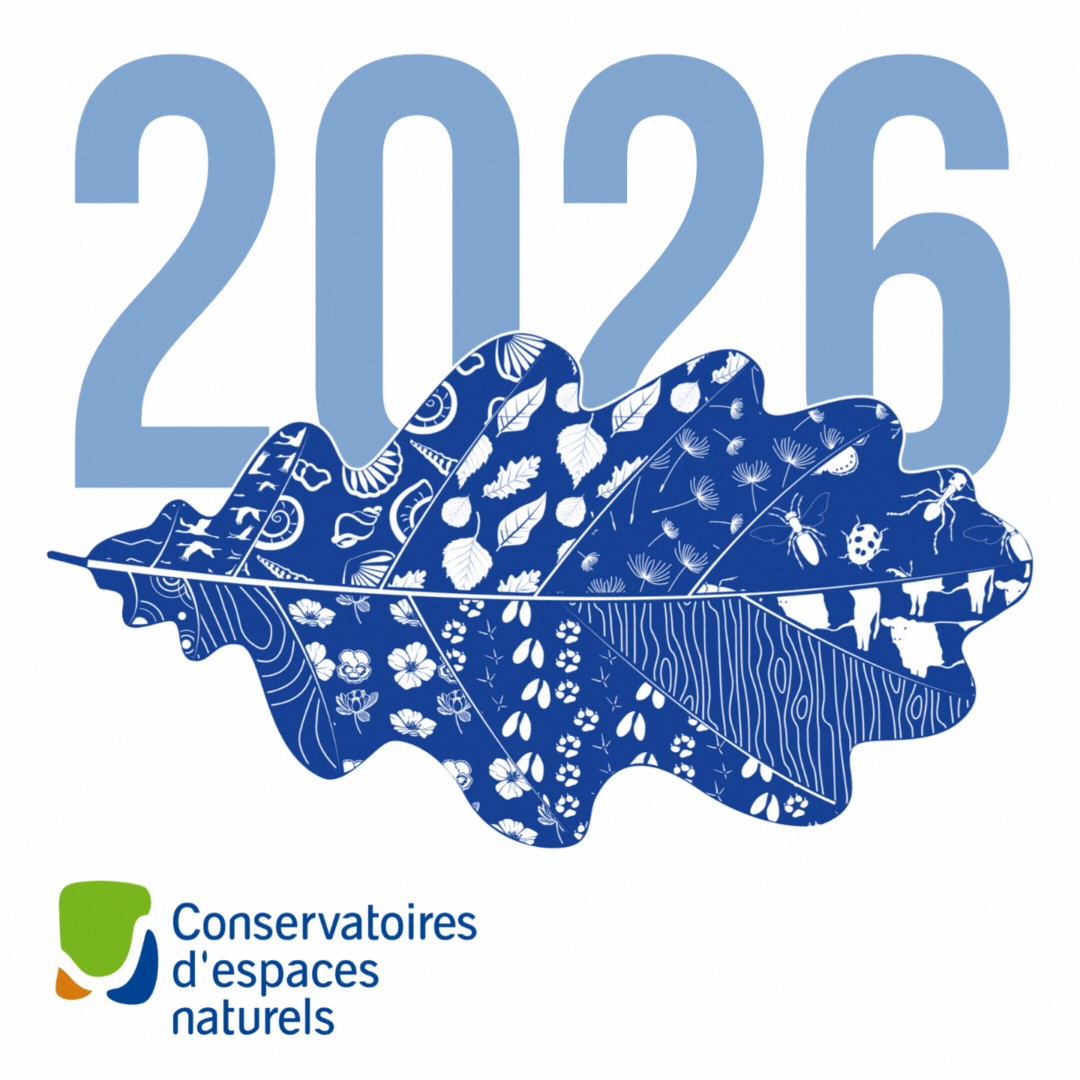 Meilleurs voeux pour l’année 2026 !