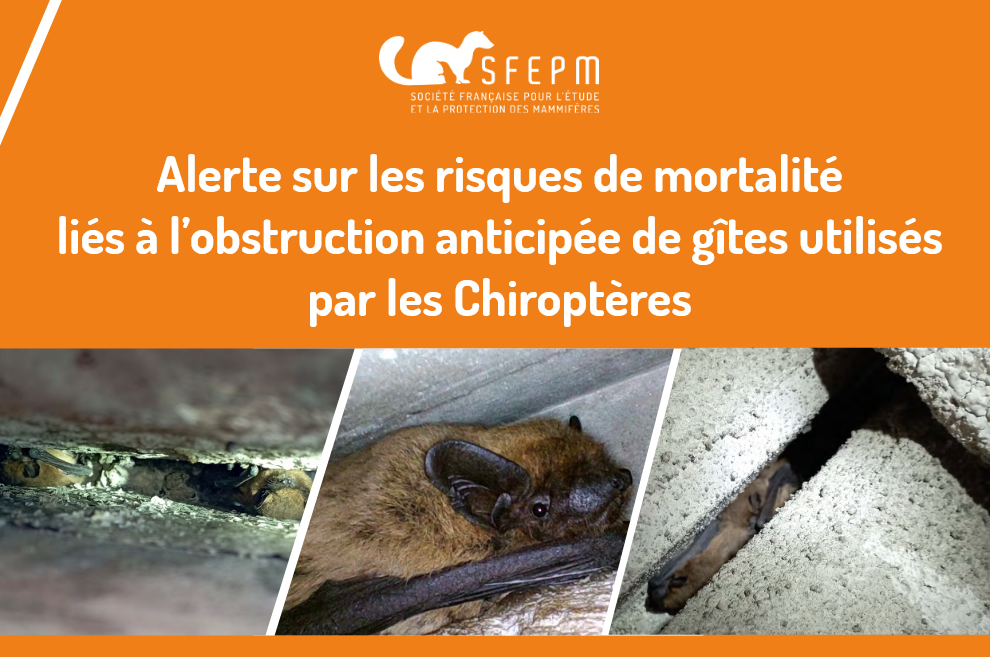 Note technique DAHUU (Destruction Anticipée d’Habitat Utilisable et Utilisée)