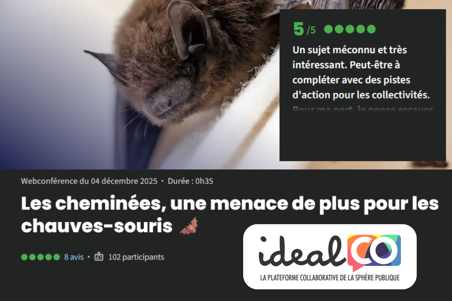 Webconférence : Chauves-souris et cheminées