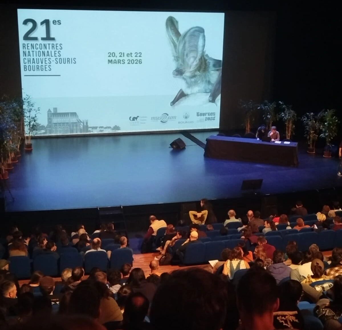Retour sur les 21es Rencontres nationales Chauves-souris de Bourges