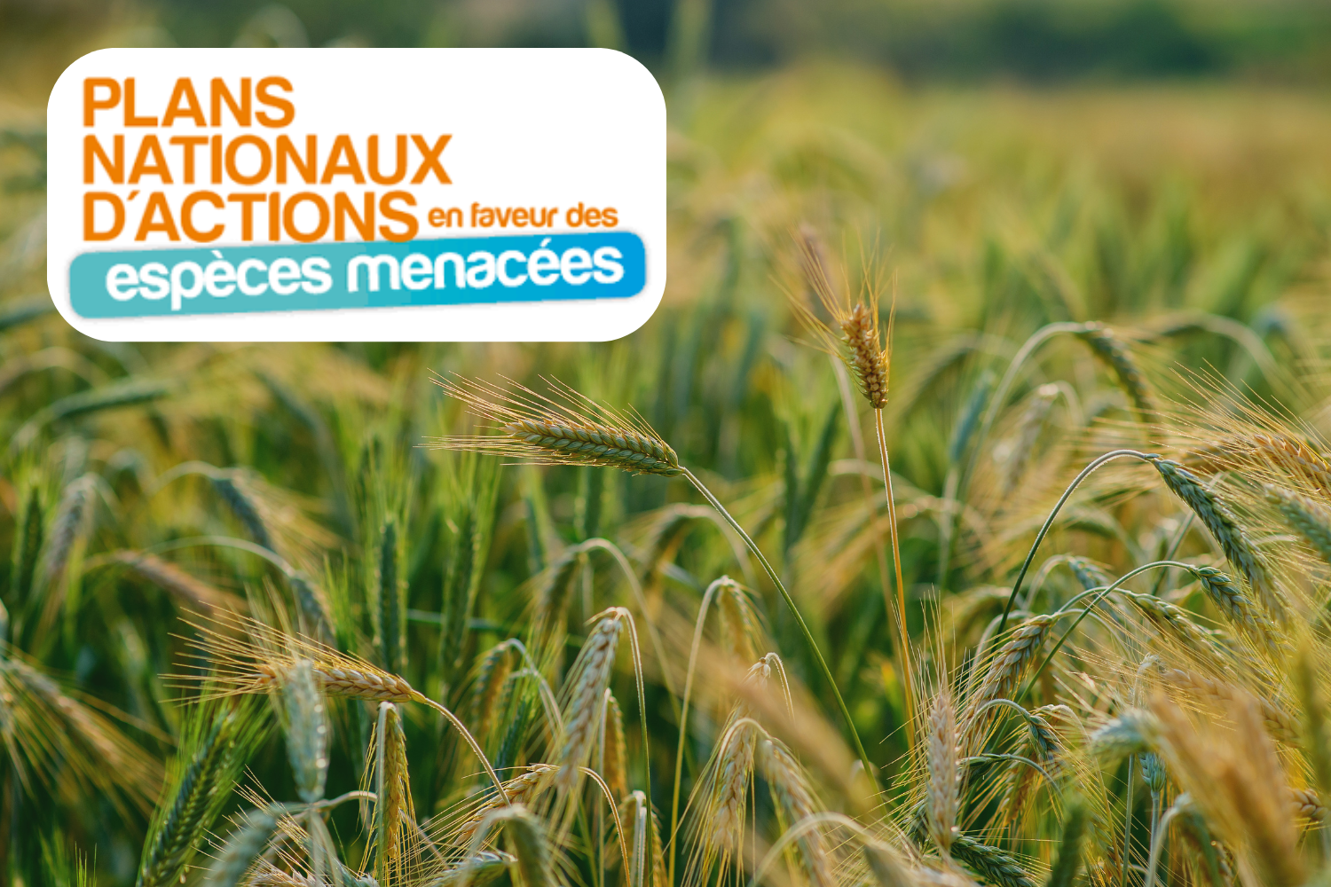 Réunion de lancement d’un projet de formation nationale Biodiversité et agriculture à destination des enseignants des lycées agricoles