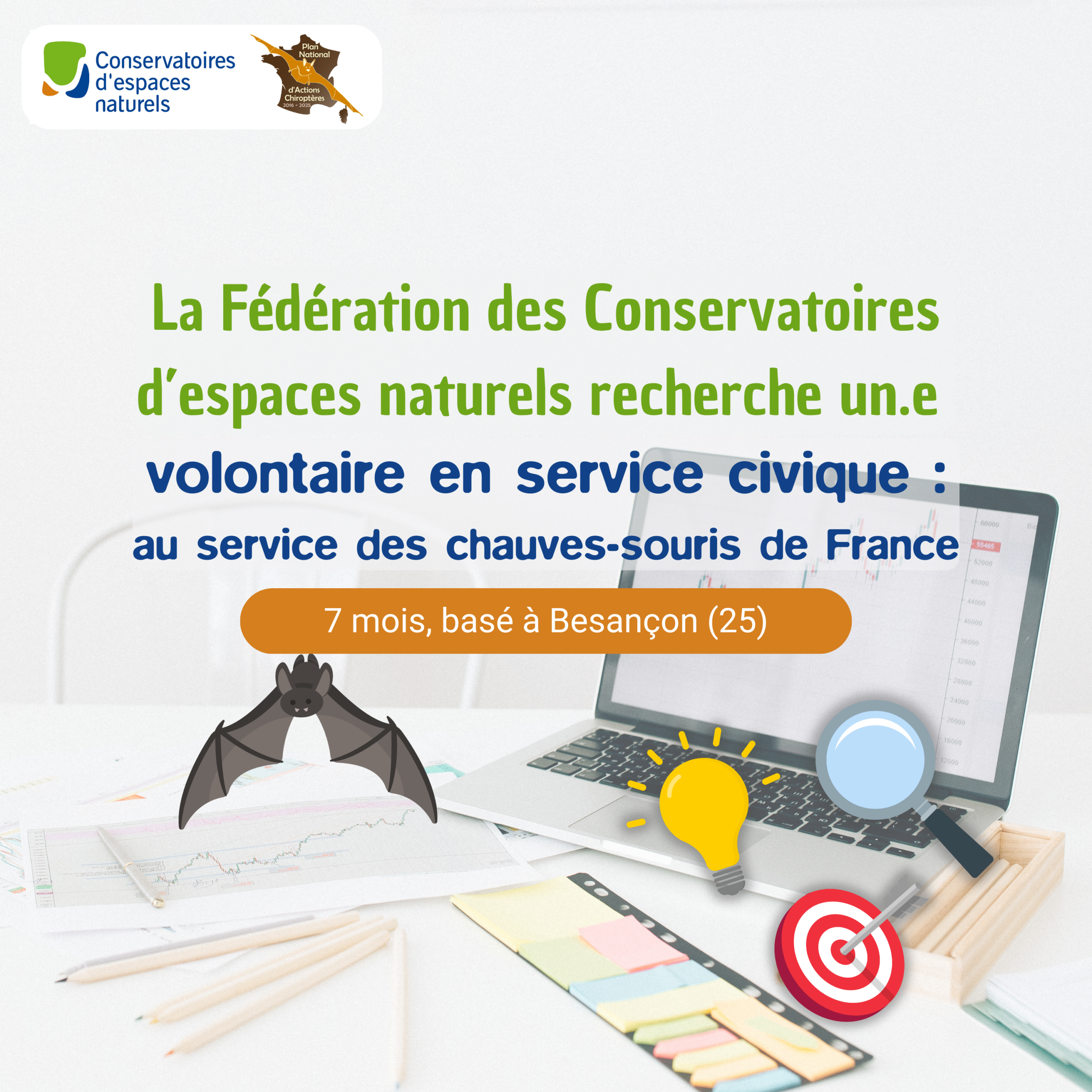 VSC : Au service des chauves-souris de France