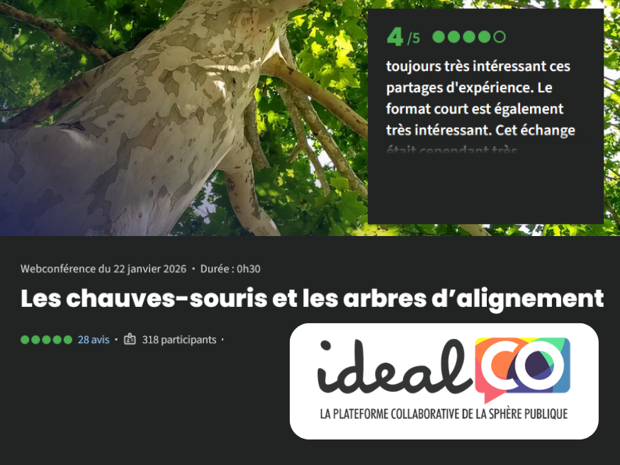 Webconférence : Les chauves-souris et les arbres d’alignement