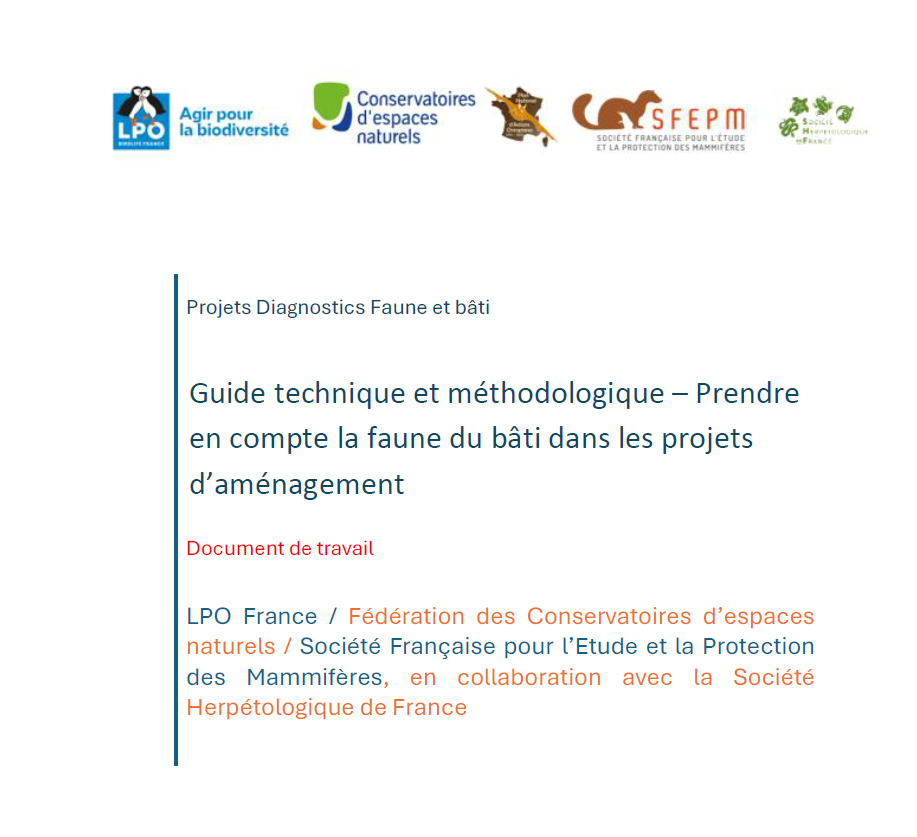 Diagnostics Faune du bâti : avancement du guide technique