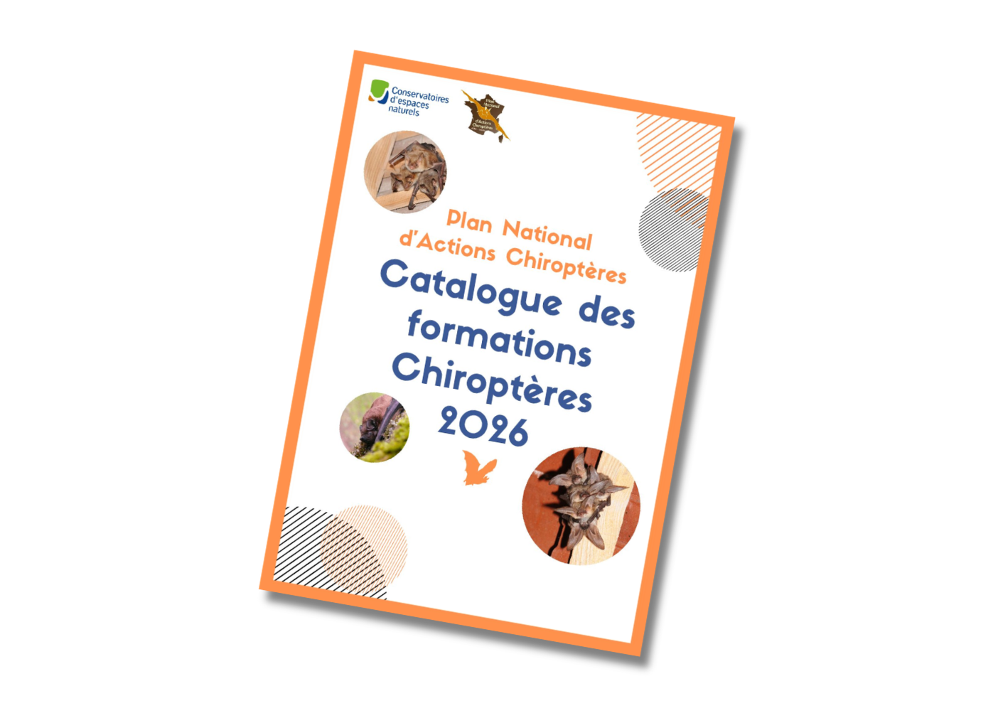 Catalogue des formations Chiroptères 2026 sur le site du PNAC