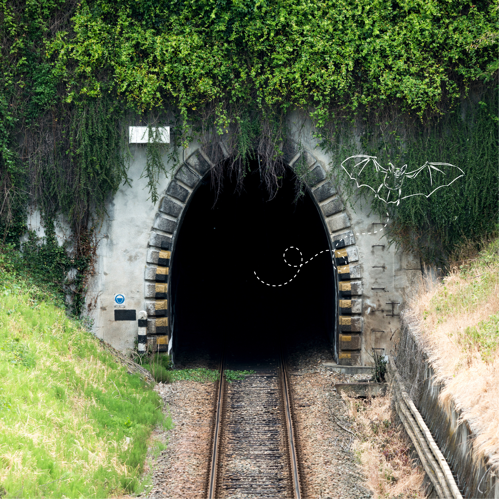 Réunion du Groupe de travail national SNCF Réseau et Chiroptères le 19 mai