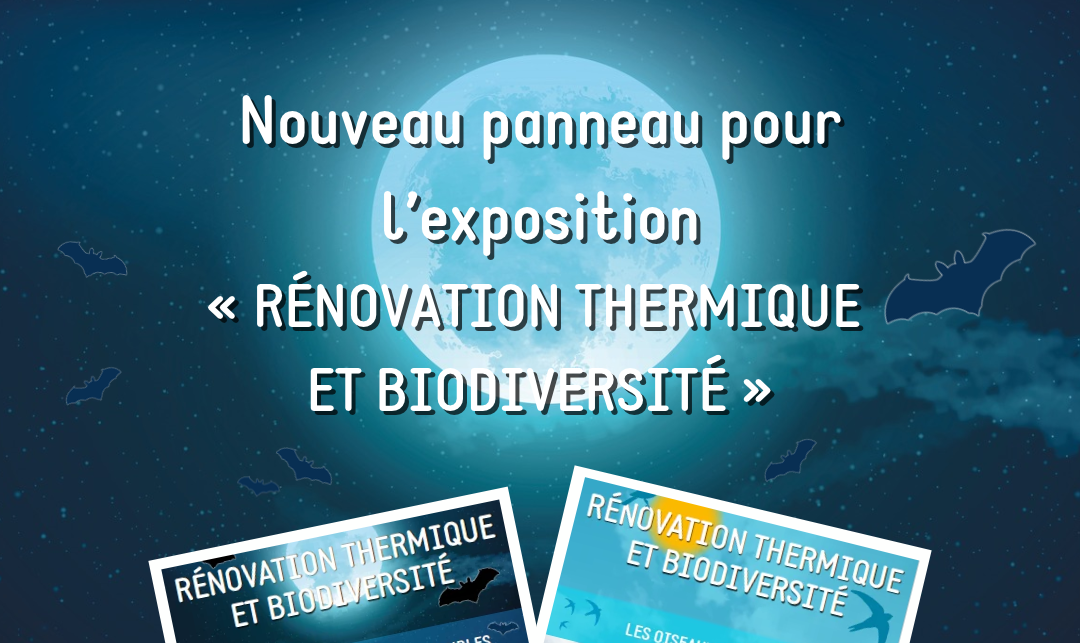 Nouveau panneau pour l’exposition “Rénovation thermique et biodiversité”
